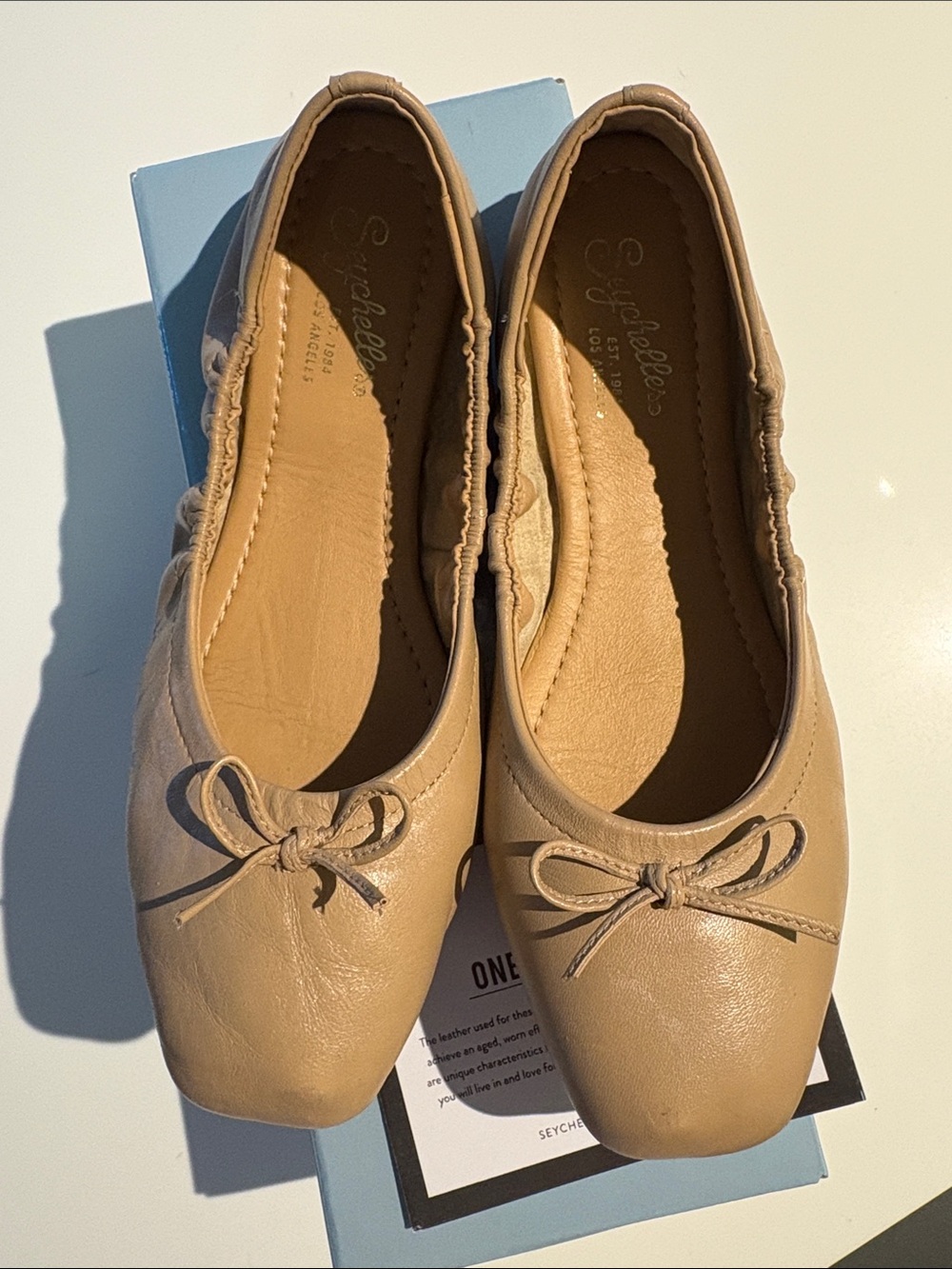 Seychelles Leather Ballet Flats